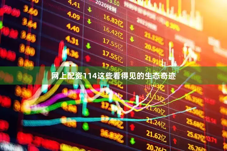网上配资114这些看得见的生态奇迹