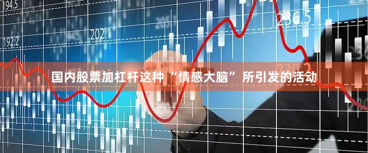 国内股票加杠杆这种 “情感大脑” 所引发的活动