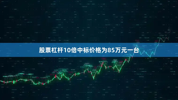 股票杠杆10倍中标价格为85万元一台